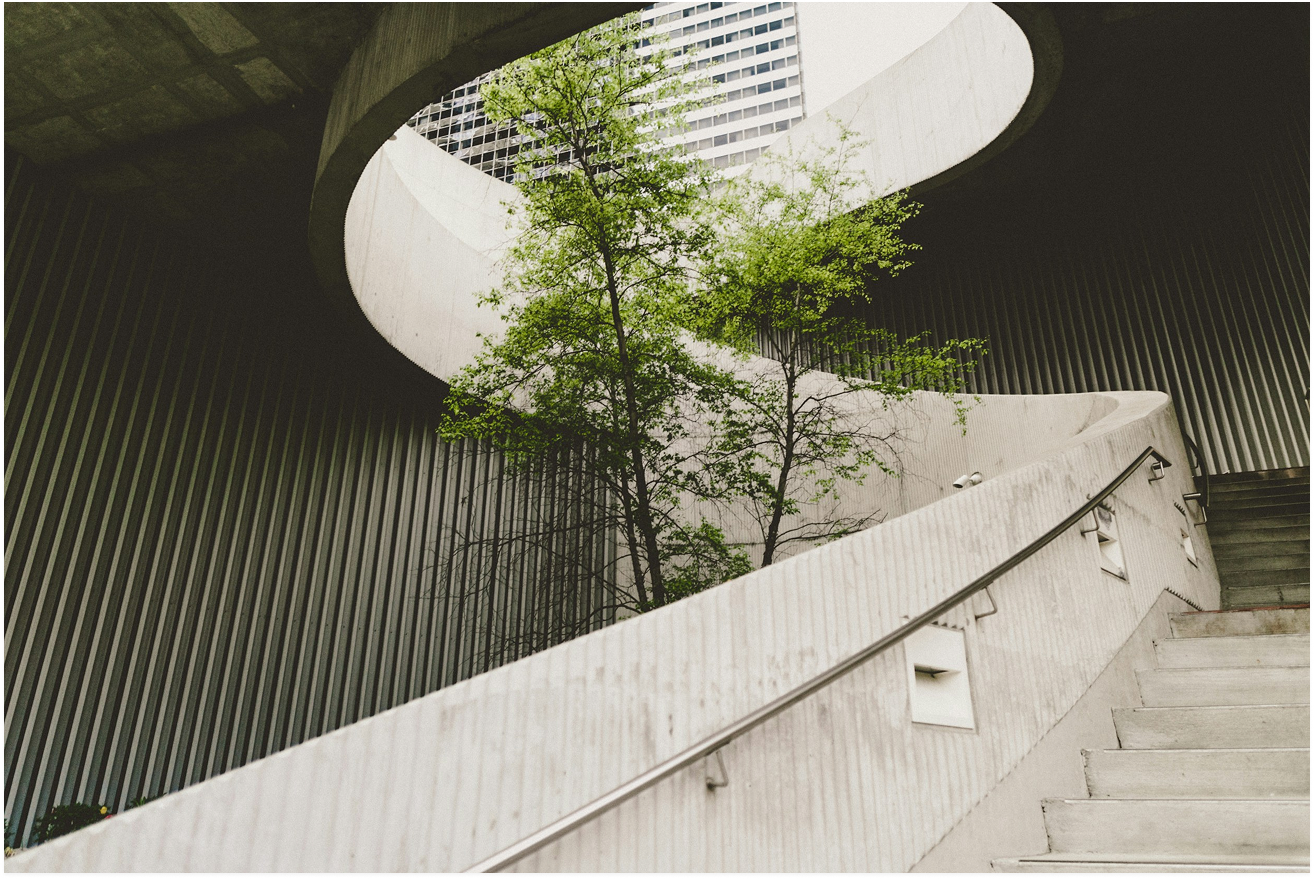 Sustainable architecture with trees and natural light
