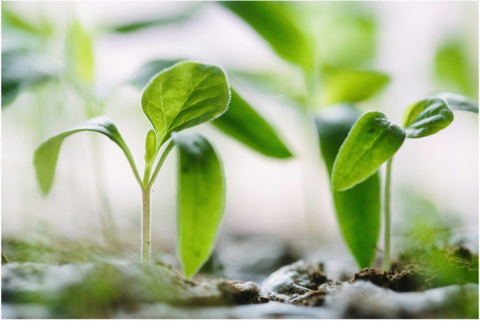 Sustainability operations and resource outcomes in a monitored facility