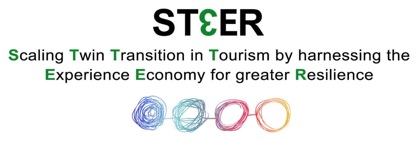 ST3ER Logo